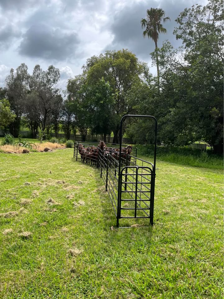 Smallstock Complete Care Unit for Sale