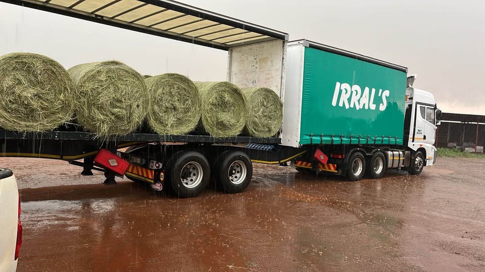 1.2 m Round Eragrostis Bales Available