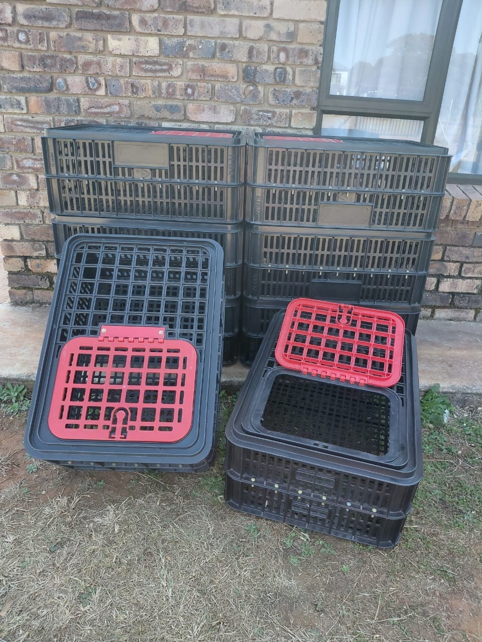 8 x Poultry transport crates