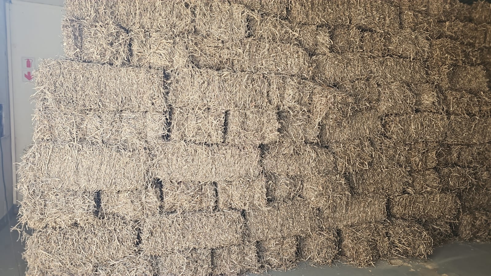 SOYA BALES X 600