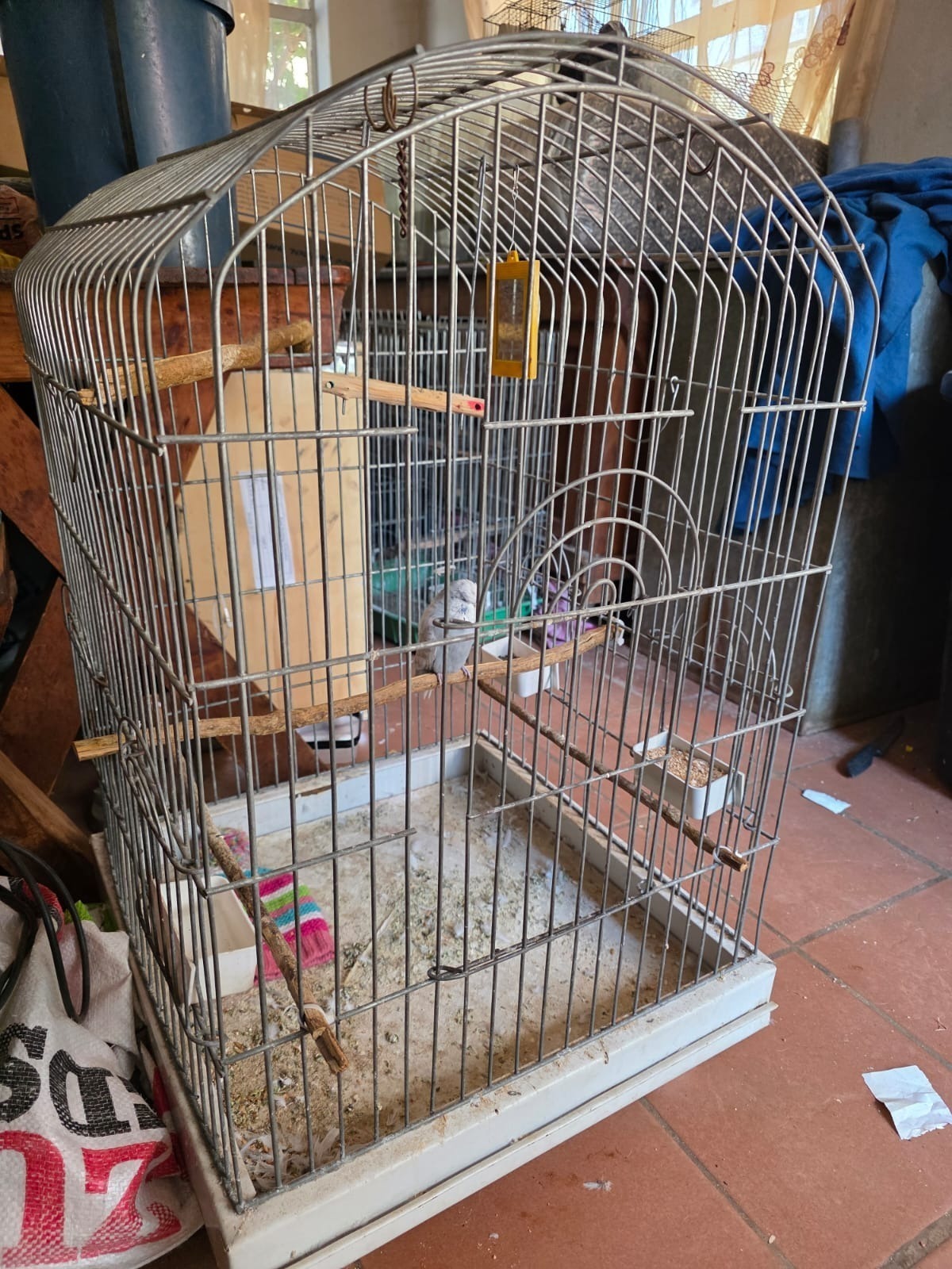 Steel Bird Cage