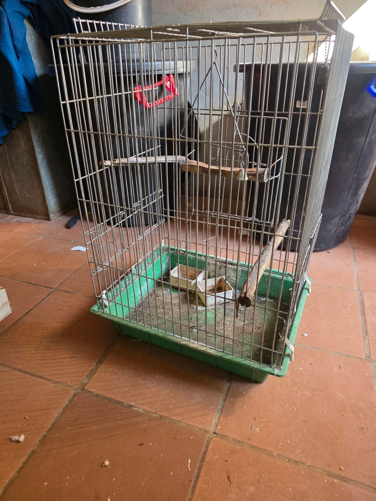 Steel Bird Cage