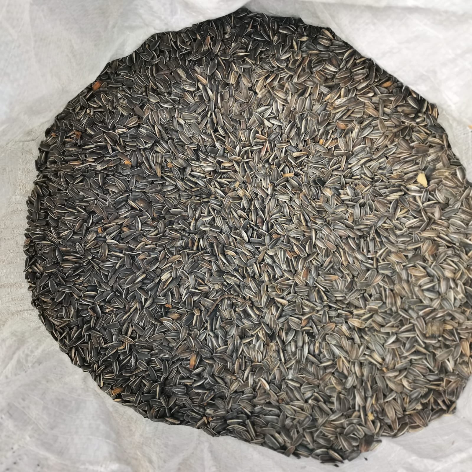 5 bags of sunflower