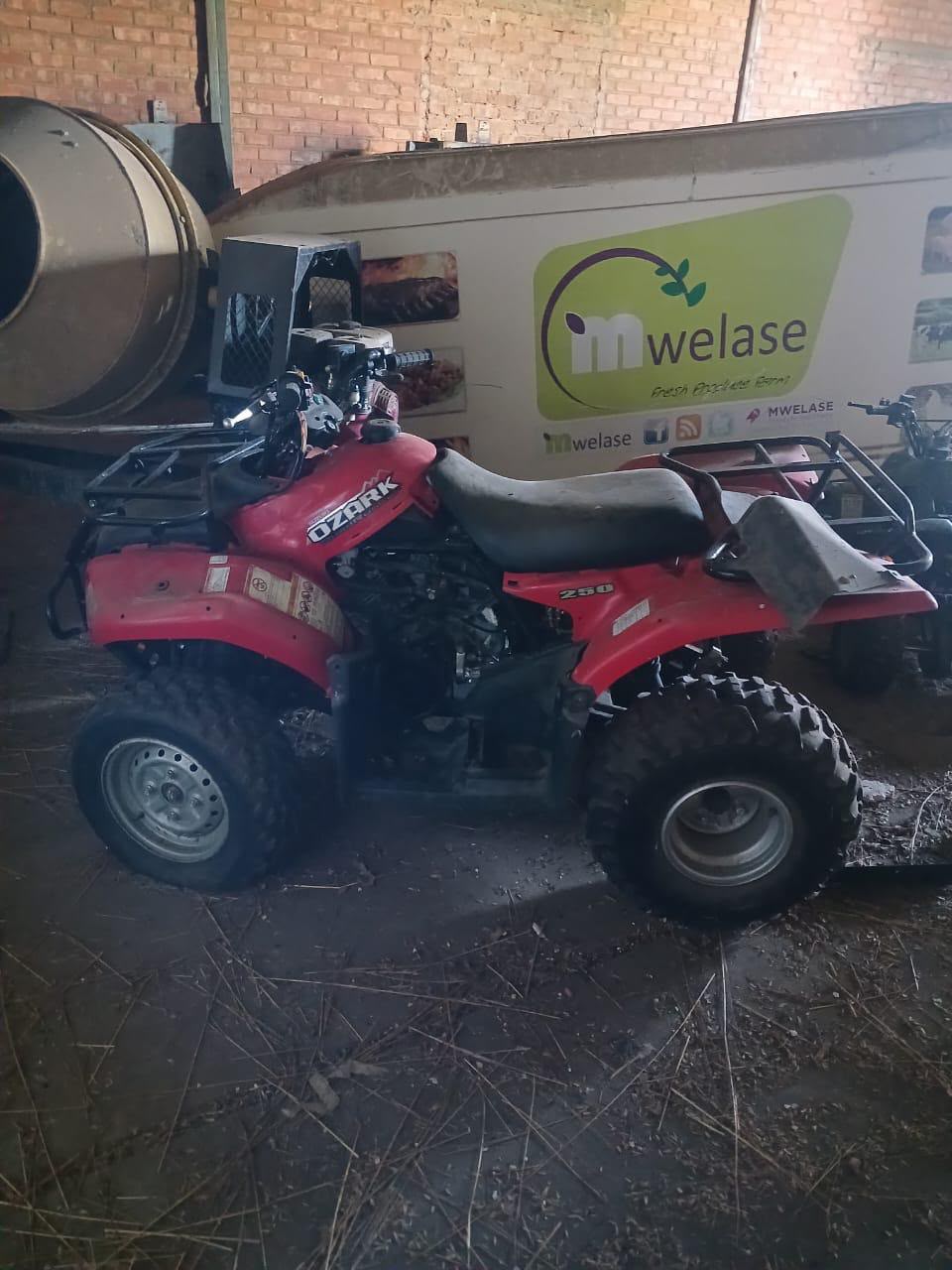 Suzuki Ozark 250 quad bike