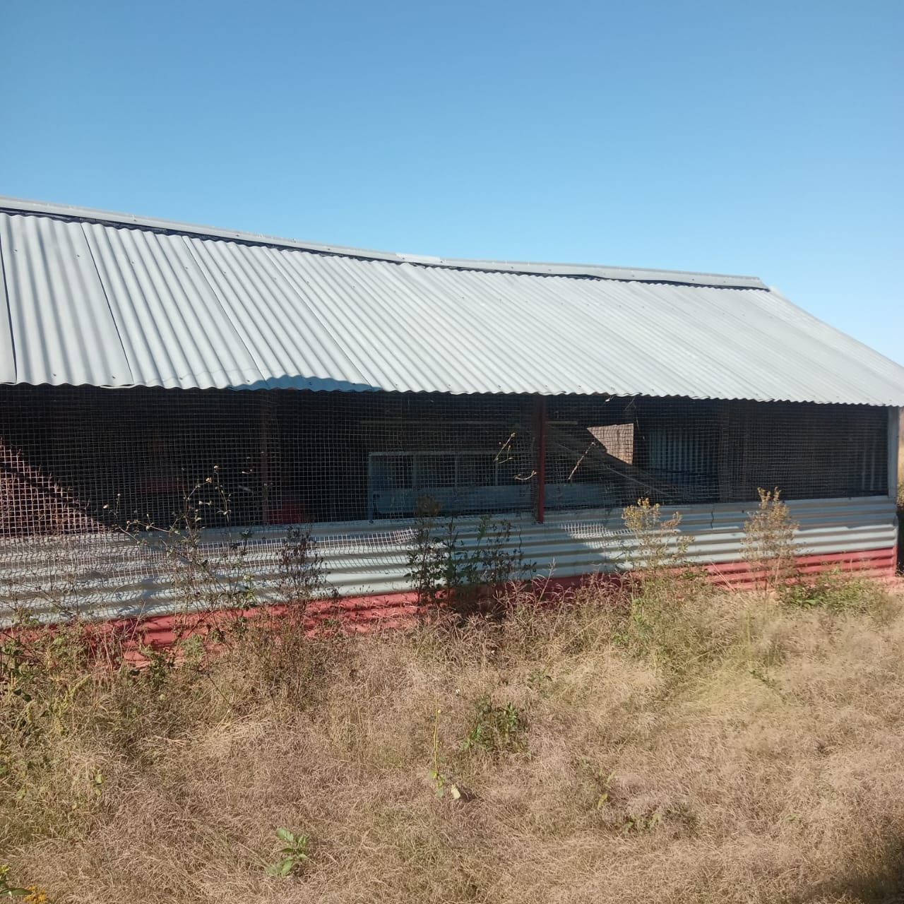 Poultry house for sale