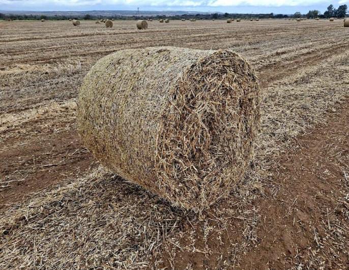 600 x Soya bales