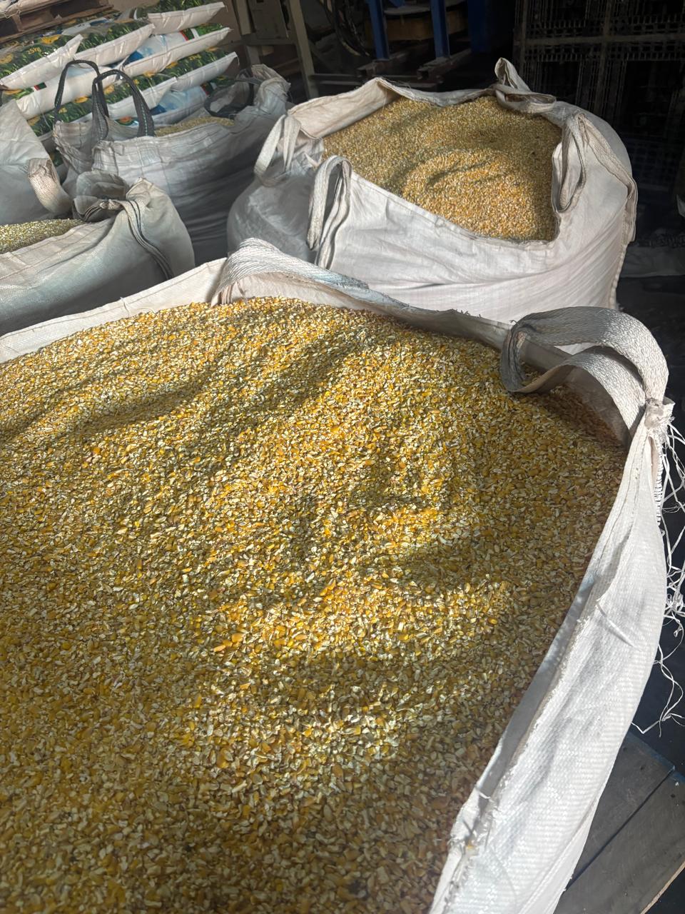 Crushed Mieliés