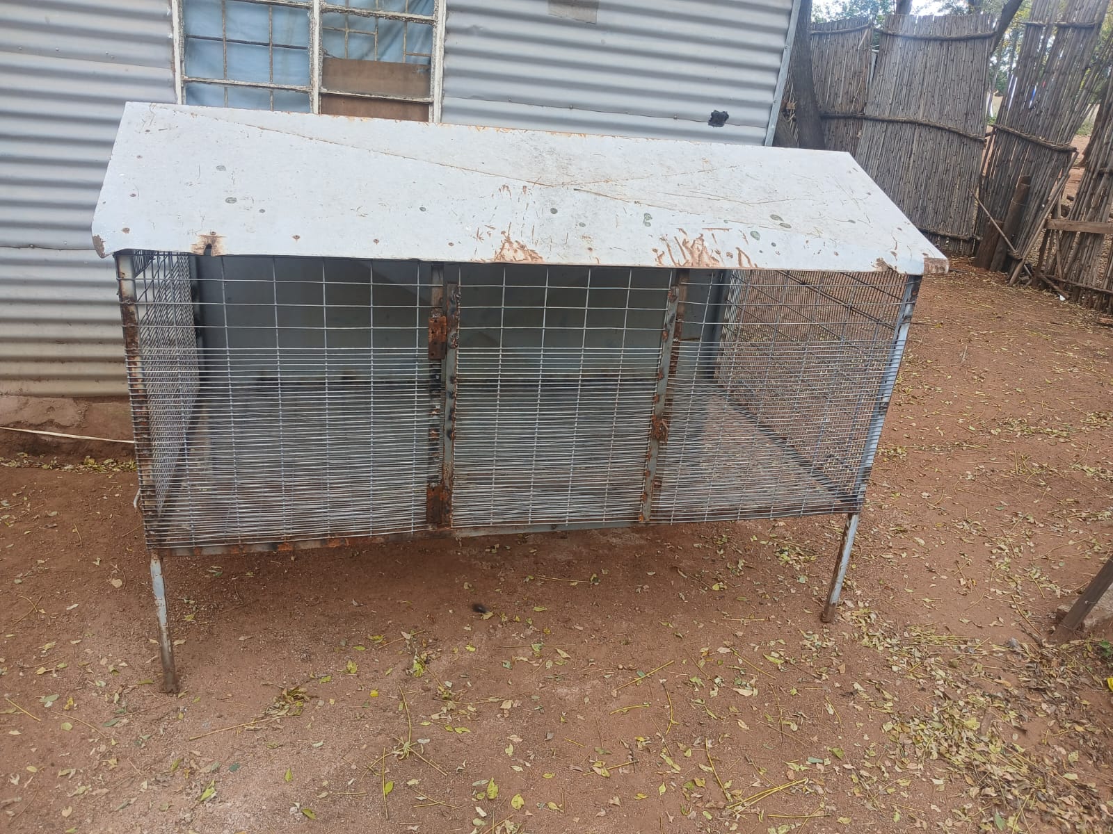Chicken cage