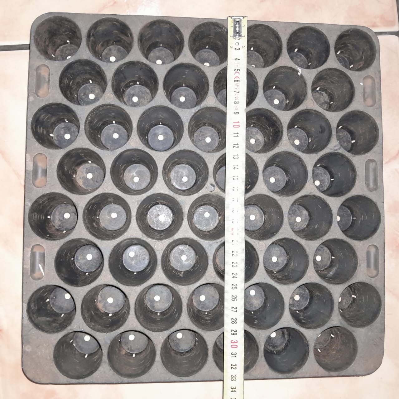 52 hole seedling trays X240
