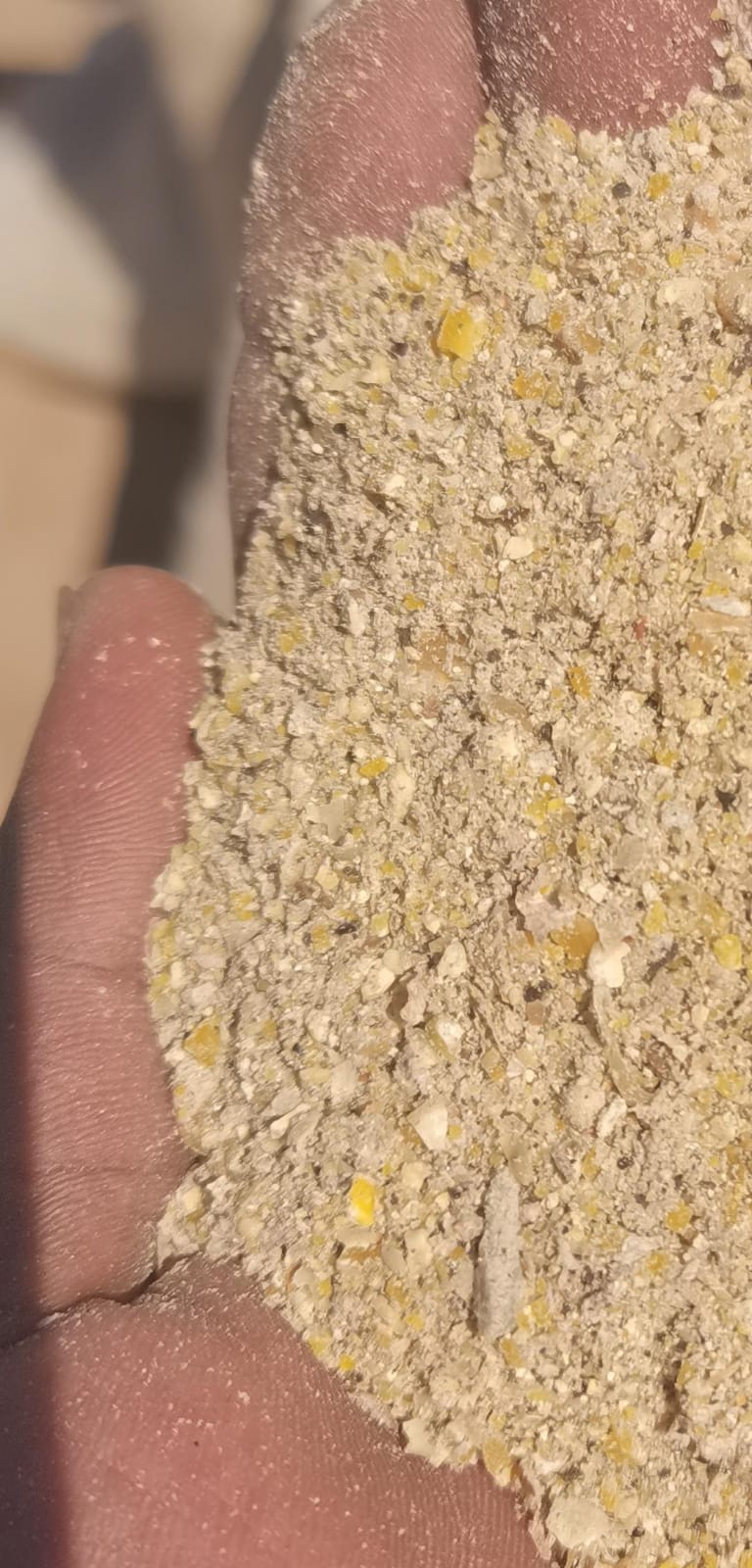 10 bags of Layer mash