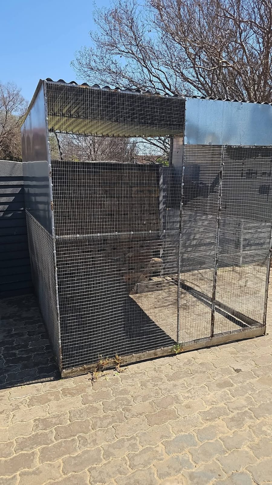 Bird Cage