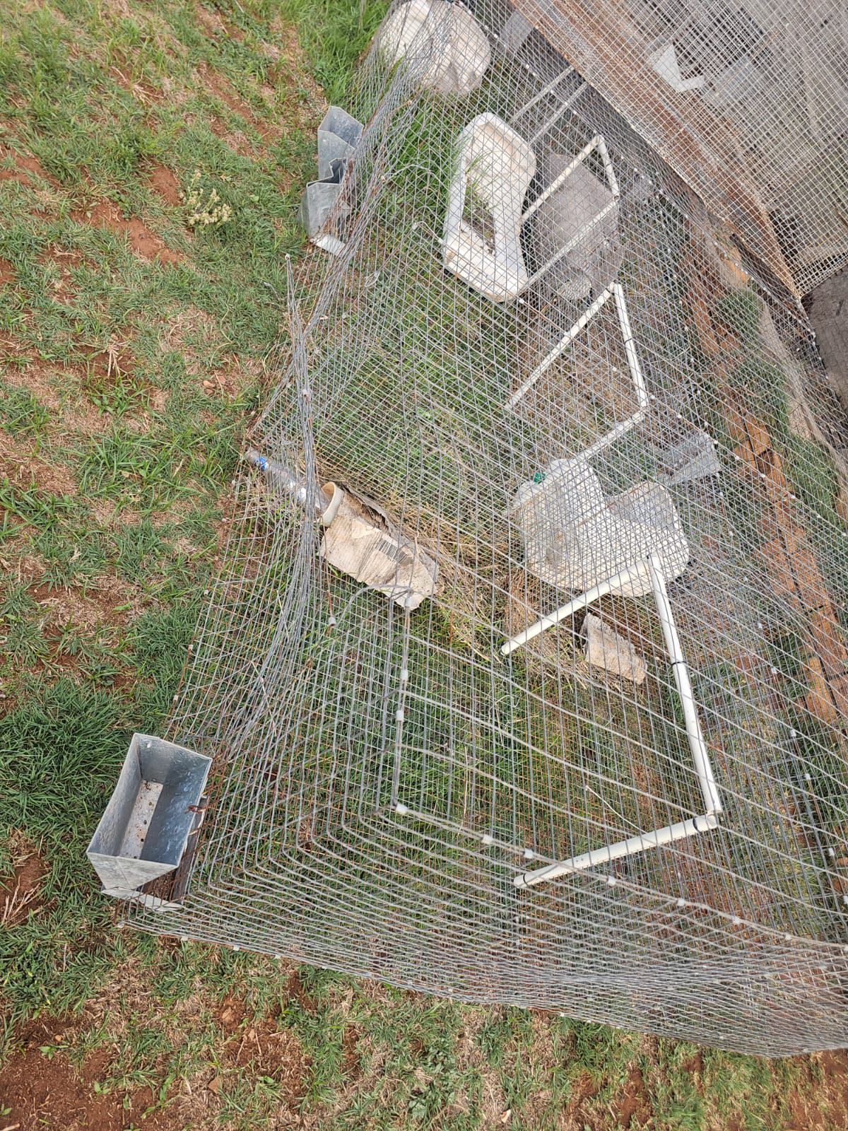 18 steel rabbit cages